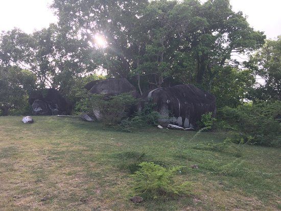 El Hombre de Puerto Ferro